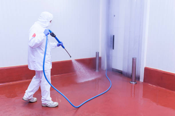 Best Driveway Cleaning and Restoration in Koontz Lake, IN